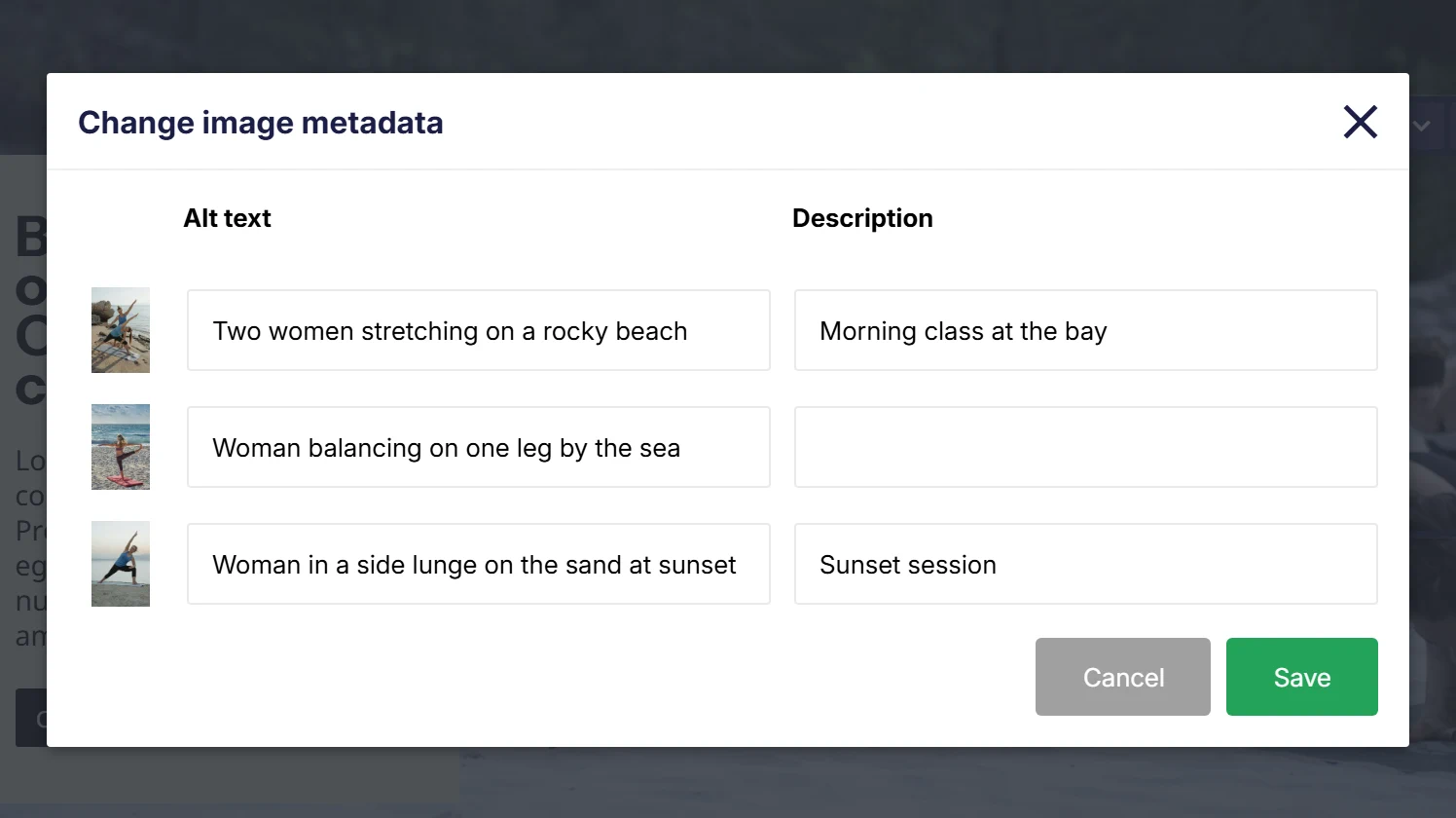The Change image metadata dialog: three photos, each with an Alt text field describing it and a Description field, two of them filled in